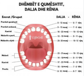 Infografik e dhembeve te qumeshtit