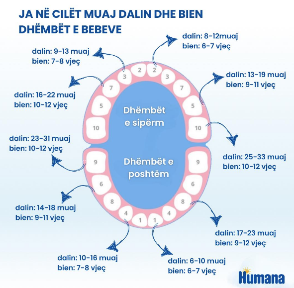 Punë e klinikës